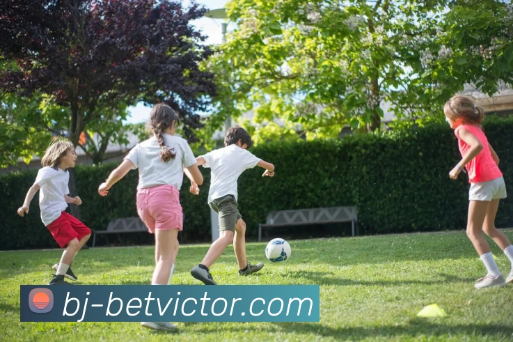 伟德1946官网APP 封面图